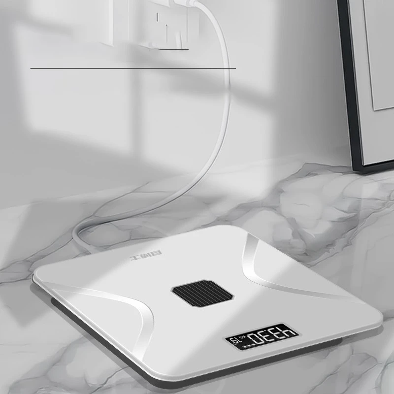 Body Trace Digital Scale suppliers